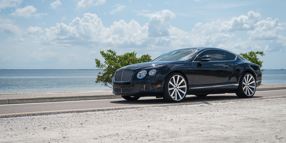 Duck on bentley